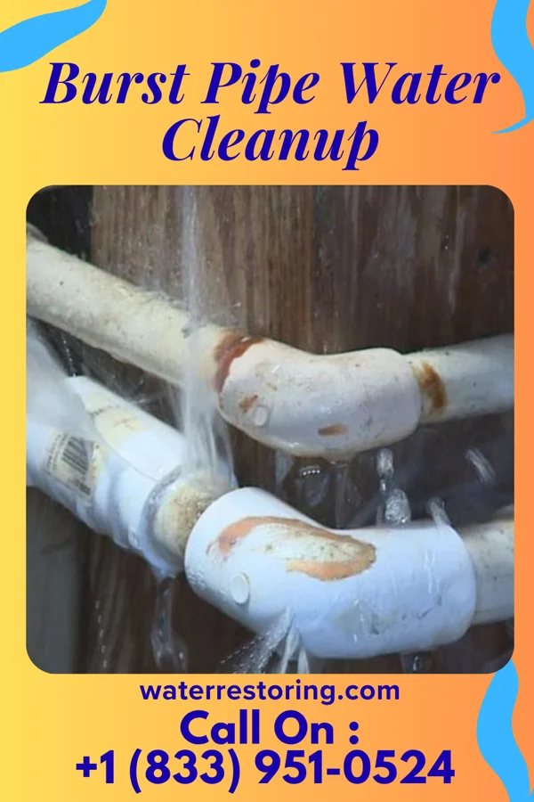 Burst Pipe Water Cleanup in Gillespie, IL
