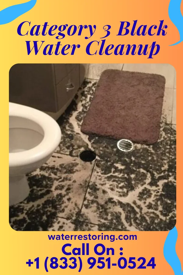 Category 3 Black Water Cleanup in Gillespie, IL