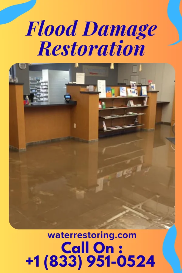 Flood Damage Restoration in Gillespie, IL