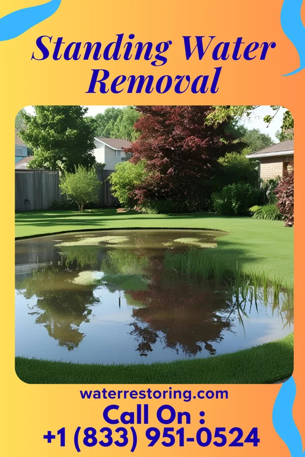 Standing Water Removal in Gillespie, IL
